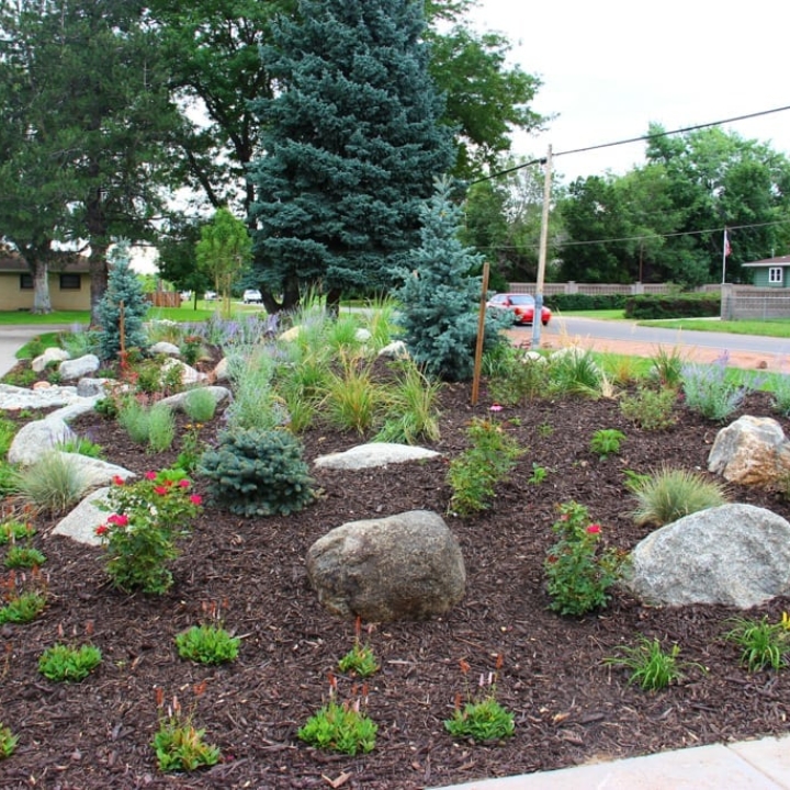 Xeriscape Colorado Springs | Colorado Xeriscaping - JakesDesigns