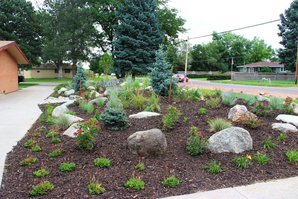 xeriscape colorado springs colorado xeriscaping