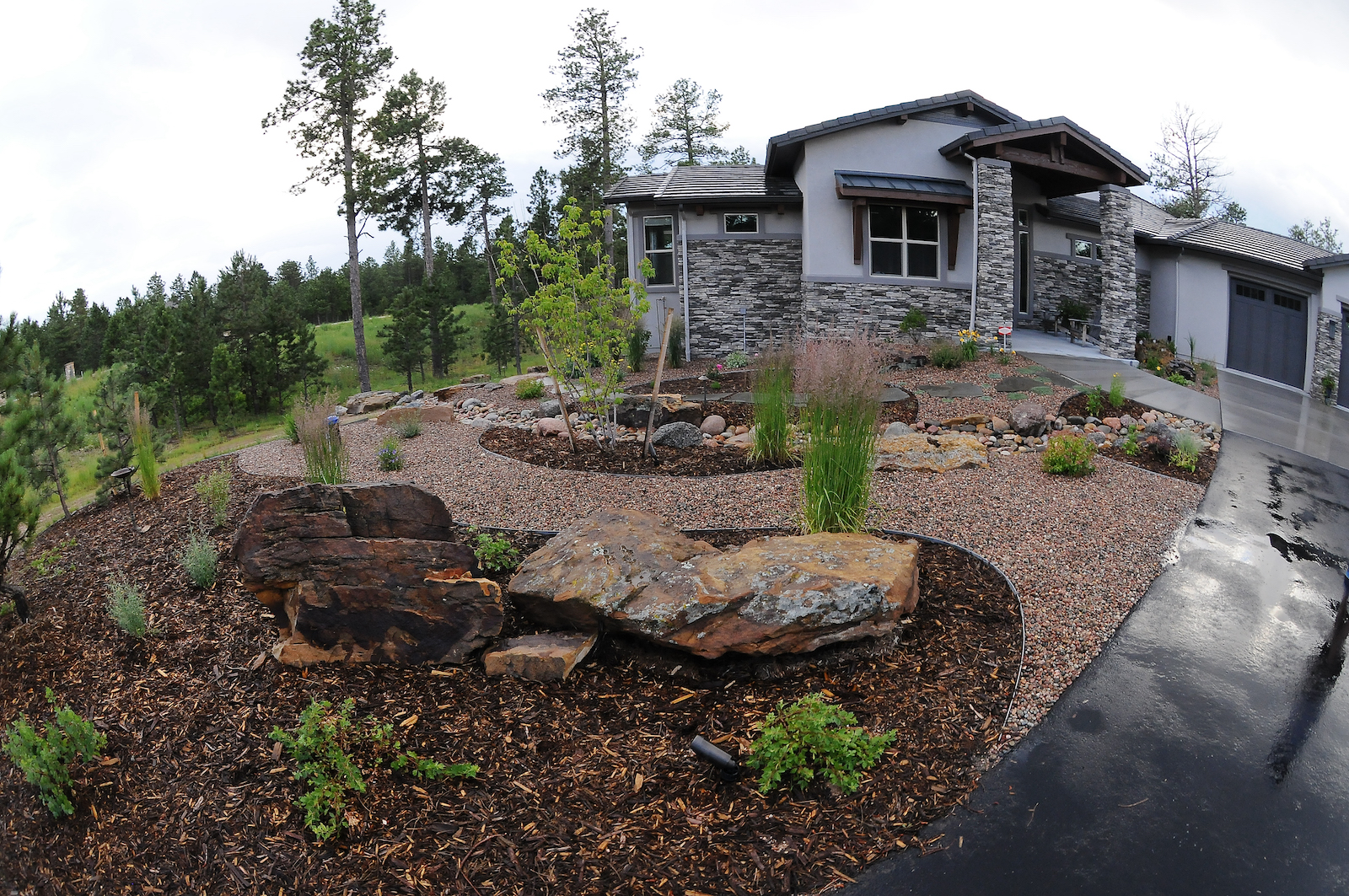 Black Forest, CO Xeriscaping