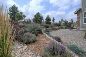 Image of Colorado home with landscaping plants that need to be watered in the winter.