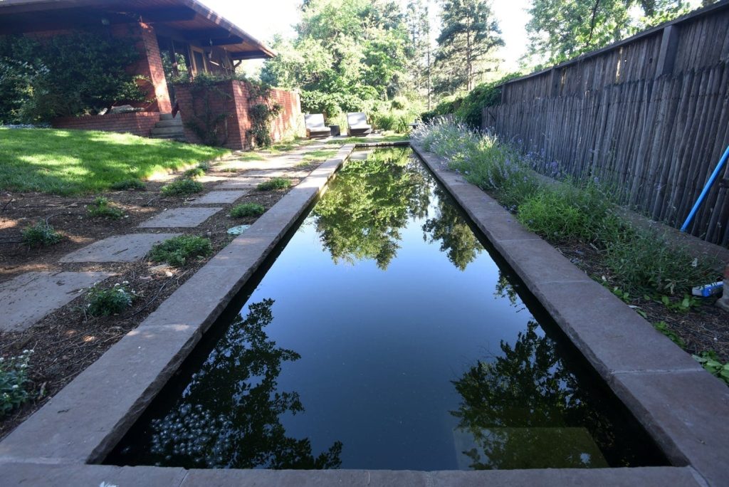 Image of a Colorado Springs outdoor living space with custom pathways and lap pool installation