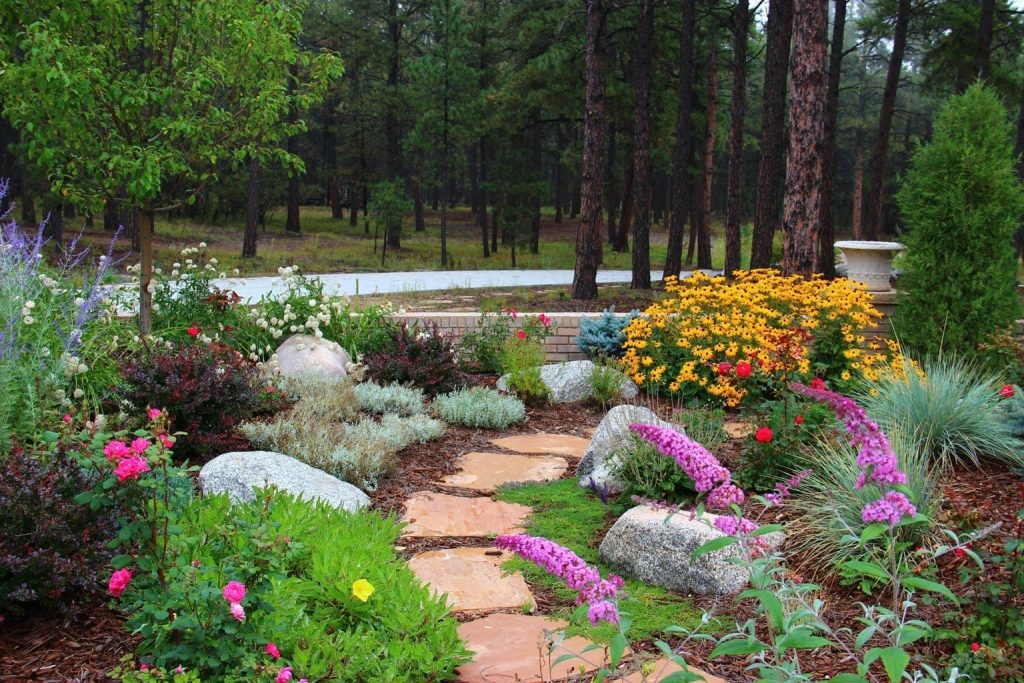 Luxury backyard patio contractor project in Colorado Springs with integrated landscape lighting and softscaping